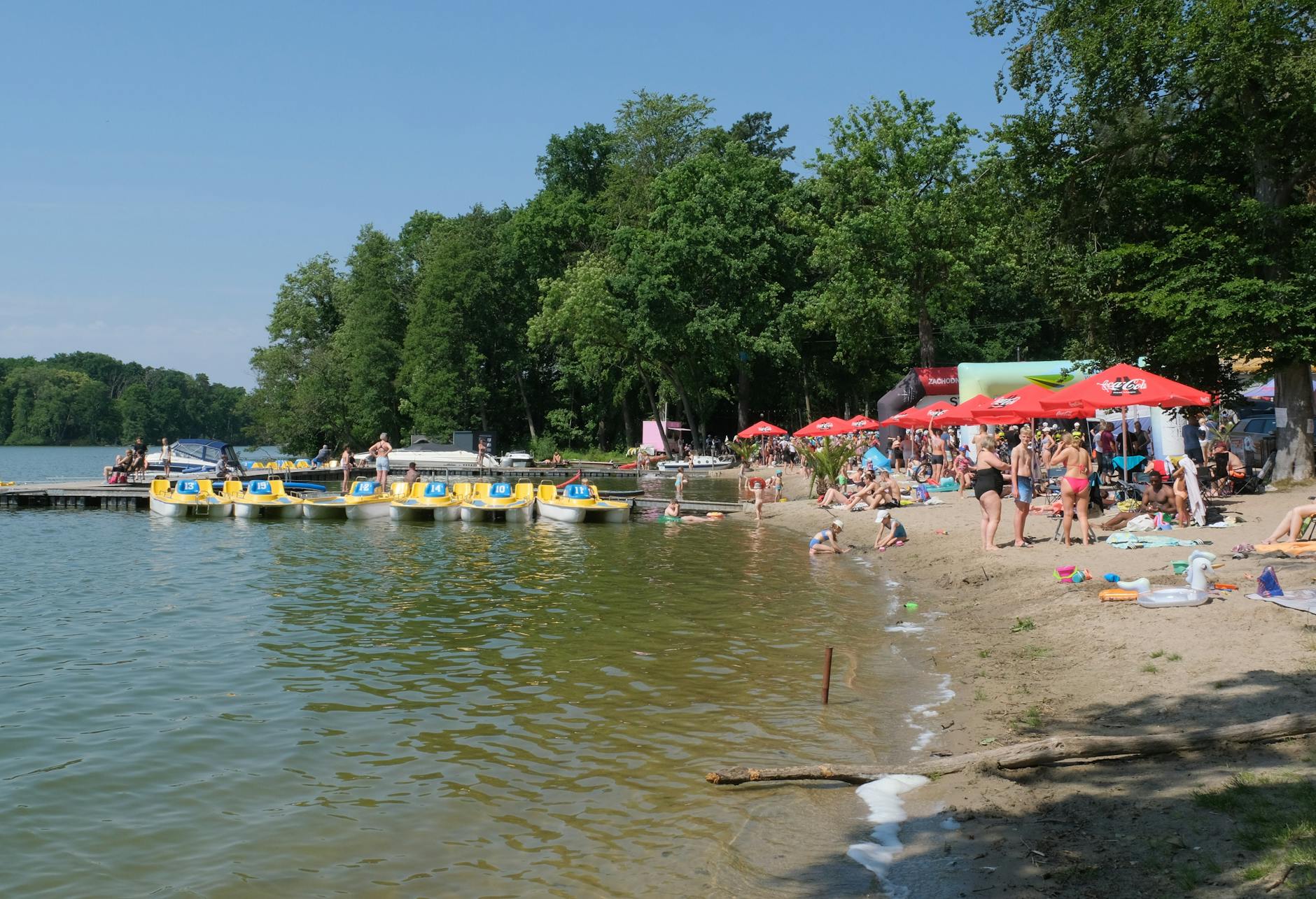 Widok na Park Miejski w Zgorzelcu w słoneczny dzień, zachęcający do majówkowych aktywności.