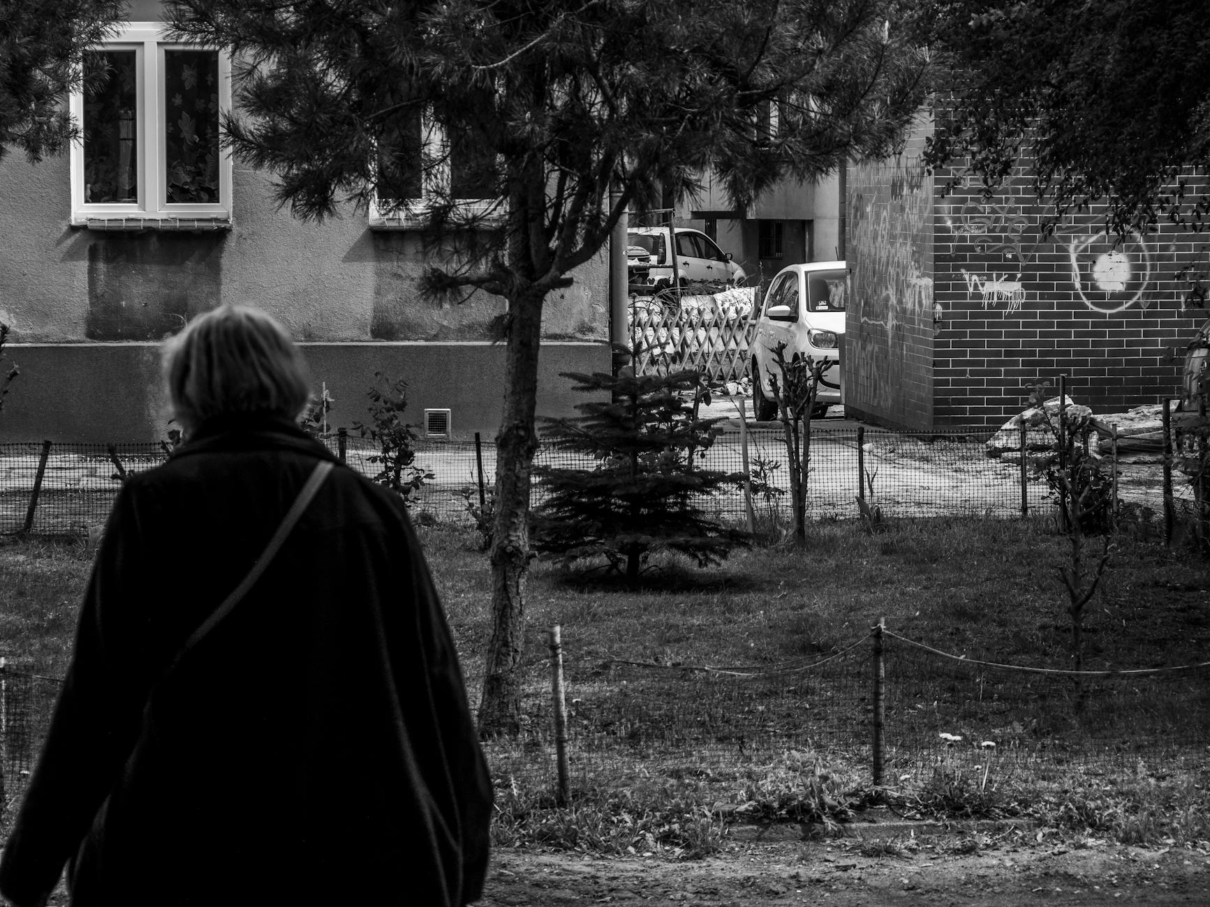 Widok na miasto Zgorzelec z rzeką Nysą Łużycką i mostem granicznym